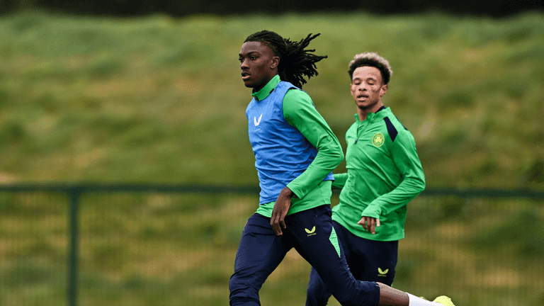Benfica pull Irish wonderkid out of Ireland senior squad as Hallgrimsson makes statement